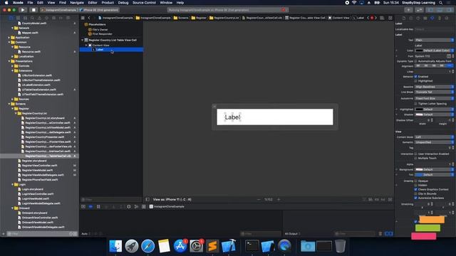 Country List Screen - Instagram iOS App Clone with MVVM and Swift - Part 4 #SpeedCoding смотреть онлайн