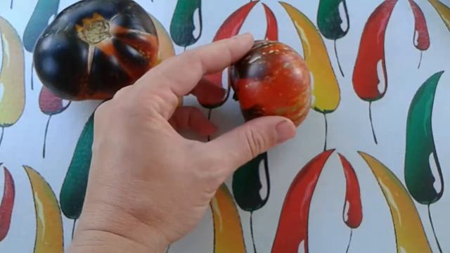 Томат Тёмная галактика смотреть онлайн