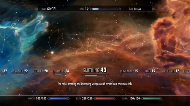 SKYRIM: My Aim For This Series W/ Weslebear.