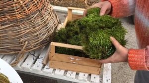 Декоративный шар из мха. Украшаем уличную зону