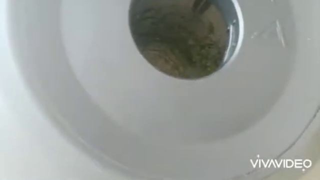 Авокадо 🥑 очень вкусная помаска, рекомендую попробовать не пожалеете смотреть онлайн