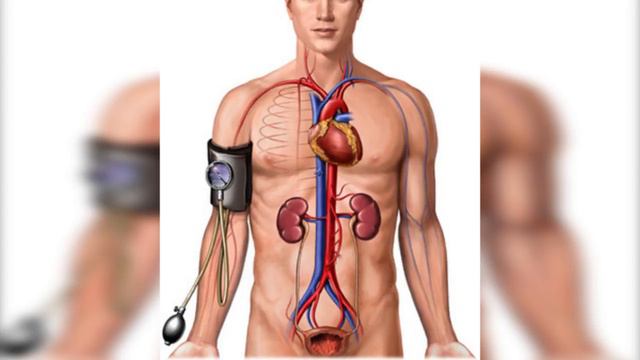 5 Things You Need To Know About The Ebola Virus смотреть онлайн