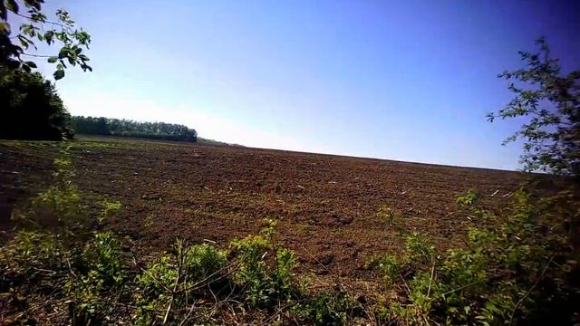 Фотоловушка Ltl Acorn 5310WMG смотреть онлайн