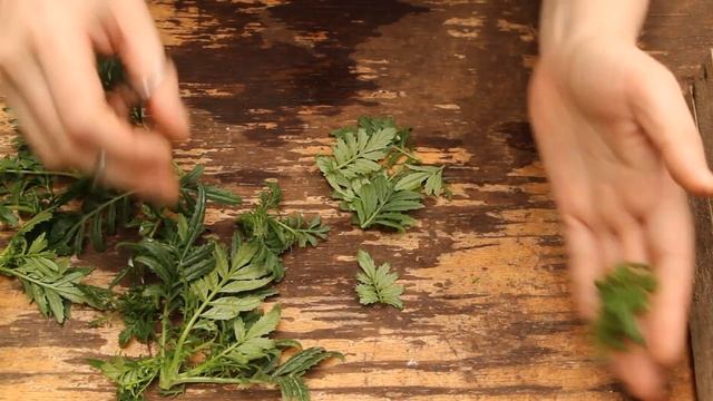 Черенкование Бархатцев. Экспериментирую. смотреть онлайн