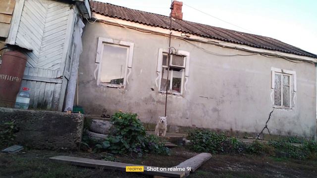 очень много дел смотреть онлайн