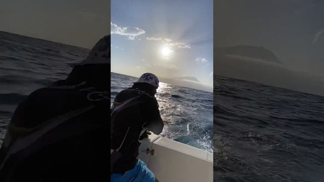 Рыбалка на марлина. Кабо Верде. Marlin fishing on Cabo Verde смотреть онлайн