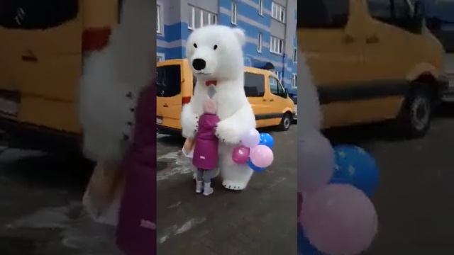 Поздравление белого медведя в Калининграде.89062112779 смотреть онлайн