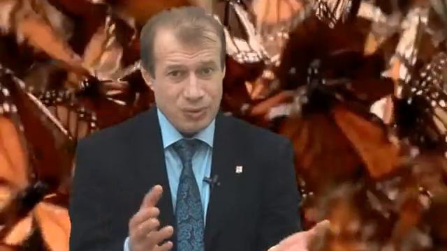 Притчи нов3 смотреть онлайн