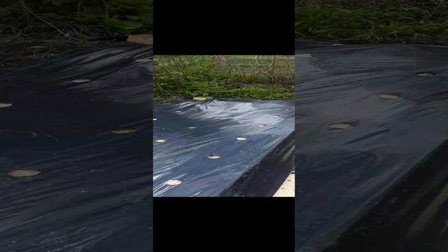 20220525_132309.mp4