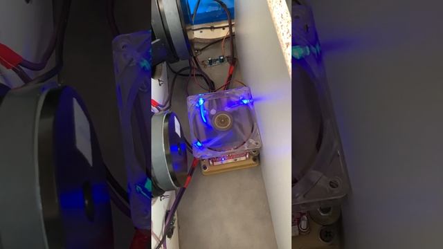 TPA3255 Blutooth колонка своими руками / Блютуз динамик своими руками #tpa3255 #блютузколонка смотреть онлайн