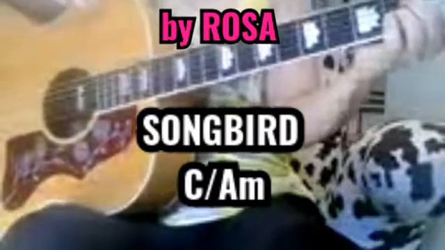 Songbird( Easy 2-Akkord-Songs für Anfänger mit Rosa lernen) смотреть онлайн