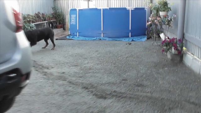 Крафту 3 года смотреть онлайн