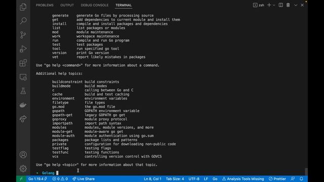 Exploring Golang Commands Using Help смотреть онлайн