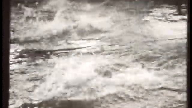 "Сибирь на экране", Томск, 1960 год. Соревнования по плаванию, смотреть онлайн