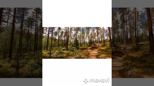 Мифы финно-угров. Культ медведя. смотреть онлайн