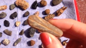 Поиск камней, минералов, кристаллов и окаменелостей в саду у дома.