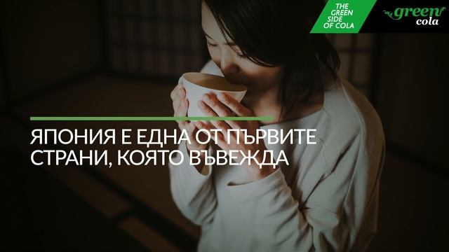 ИЗБИРАШ СТЕВИЯ! смотреть онлайн