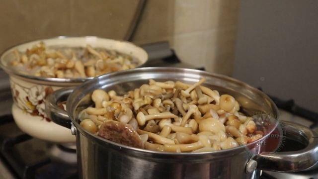 Энергетическое финансирование и карма душ