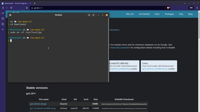 Setting up Go (Golang) work environment on Windows, Linux and VS Code #go #golang смотреть онлайн