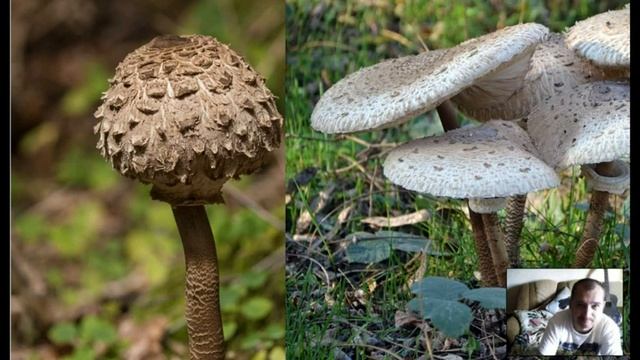 Мастерство и Инновации