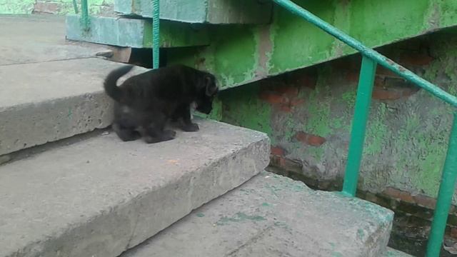 20190708_205945 смотреть онлайн