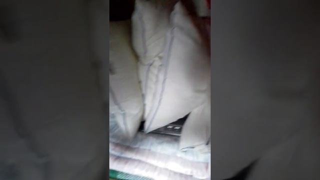 Fiat Dethleff 2.8 TDID vm. 2000