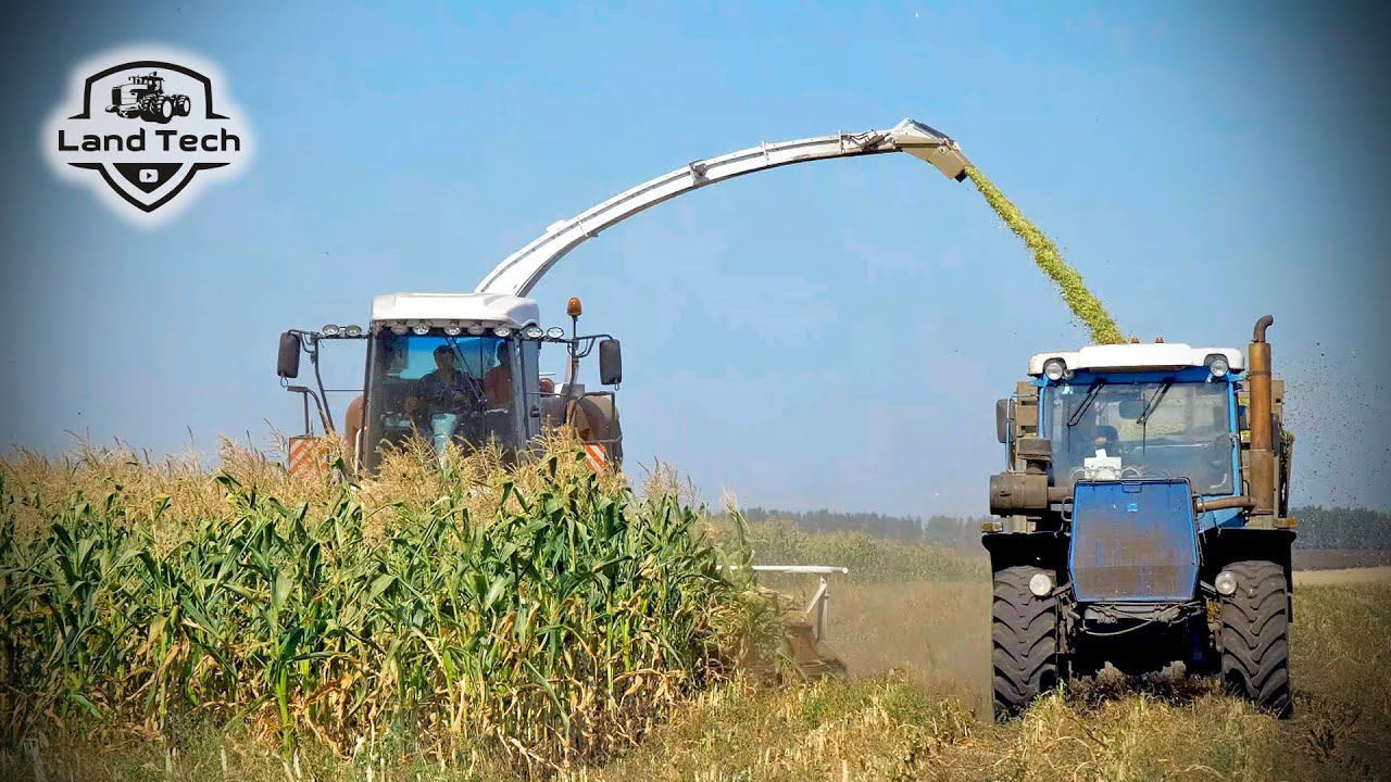 Заготовка силоса на самом мощном Российском комбайне - RSM F 2650! смотреть онлайн