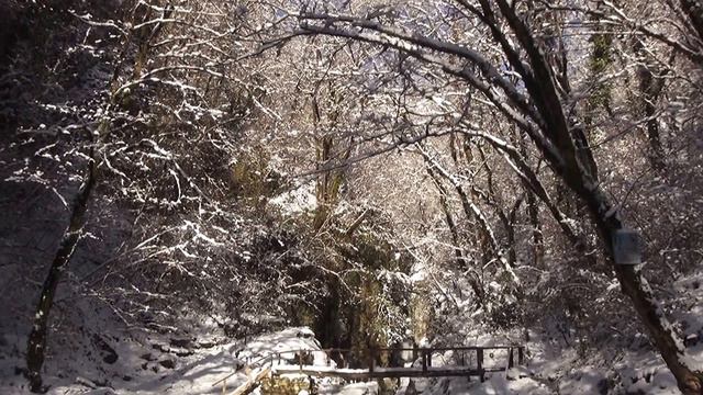 Агурское ущелье, Сочи. 29.01.2017_ HD 1080 p смотреть онлайн