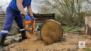 Бензопила Дружба 4 М Електрон & сухий дуб.