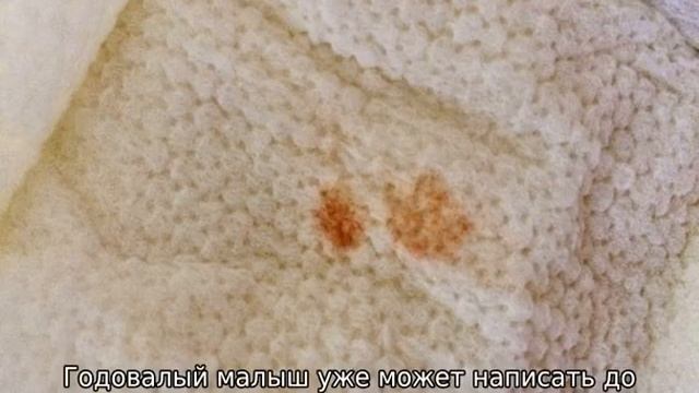 Сколько должен писать новорожденный ребенок в день смотреть онлайн