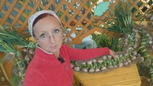 Видео привет с 6 соток 21 июля 2023 года.