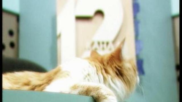 корпаративный ролег смотреть онлайн
