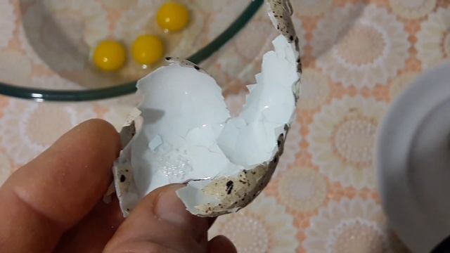 Гусь+Перепелиные яйца//Купить качественное Яйцо и Мясо перепела Хитрук Елена Украина