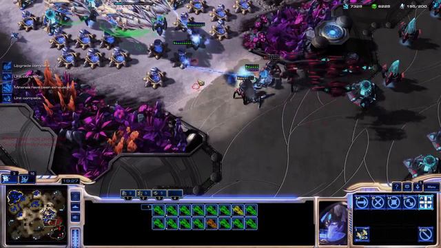 POV Starcraft 2 Meme Team Beats You in Silver League ASMR - w/Kranky ft. Bread - 2v2 + 1v1 gameplay смотреть онлайн
