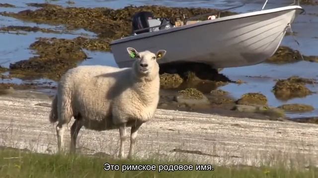 Значение имени Клавдия. Толкование, судьба, характер смотреть онлайн