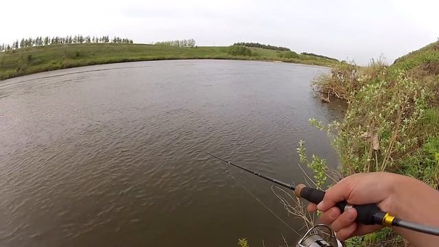 Ловля голавля из под куста на L-minnow 44 смотреть онлайн