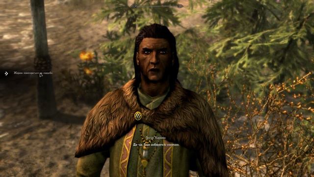 Начало страданий | Skyrim RFAB смотреть онлайн