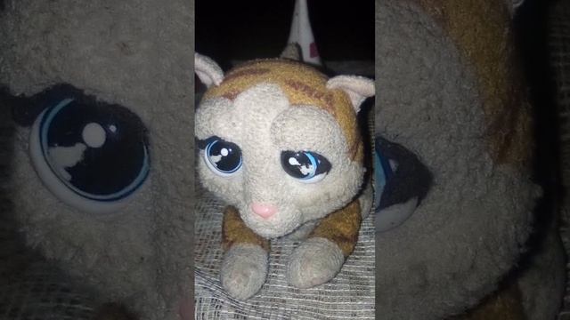 Здесь могут водиться тигры смотреть онлайн