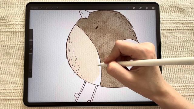 Рисуем птичку акварельными кистями в Procreate смотреть онлайн