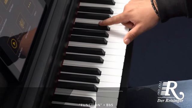 CASIO Celviano AP 470   Basisfunktionen