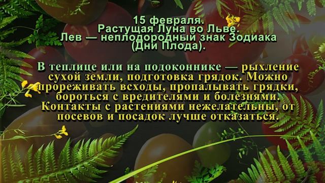 Лунный посевной календарь на ФЕВРАЛЬ 2022. Уход и посев растений в саду и огороде. Агрогороскоп смотреть онлайн