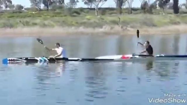 Canoe sprint /kayak sprint /rowing смотреть онлайн