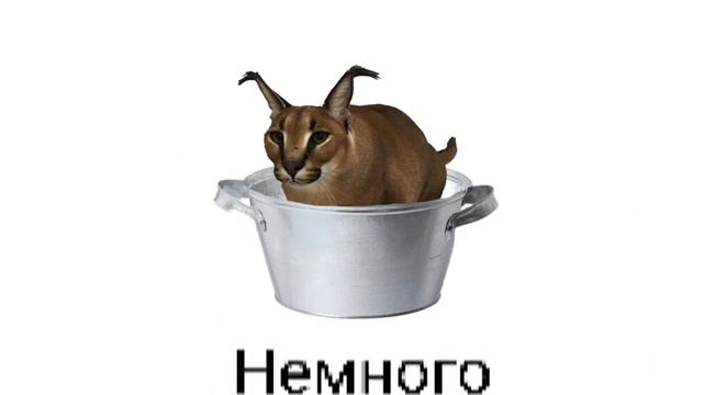 ФЛОПСКИЙ ТАЗИК. смотреть онлайн