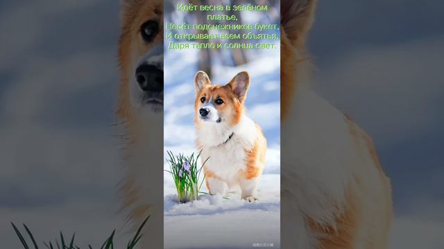 музыкальные открытки. смотреть онлайн