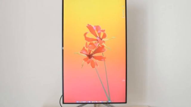 AOC FRAMELESS IPS PANEL4K LED 32” U32U1 смотреть онлайн