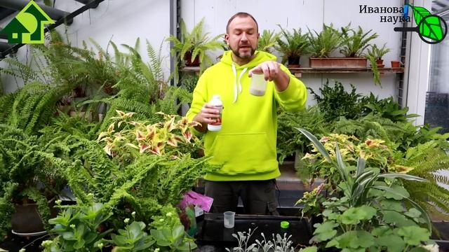 Пролонгированное удобрение (длительного действия) своими руками - ДОСТОЙНАЯ ЗАМЕНА ОСМОКОТУ! смотреть онлайн