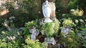 Прогулка по красивому саду