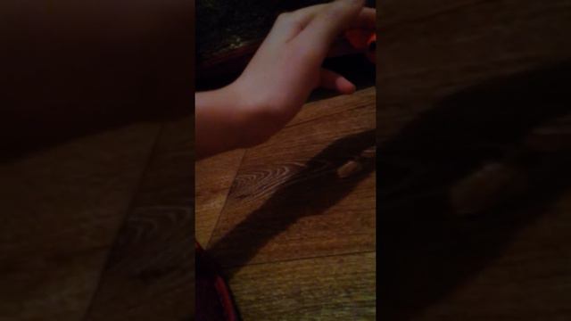 Корги из пластилина!😉😄😄😍👍👍!! смотреть онлайн