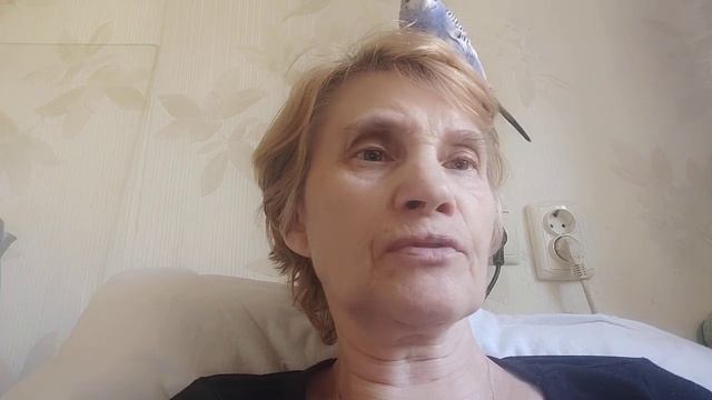 Ездила в больницу забирать выписку смотреть онлайн