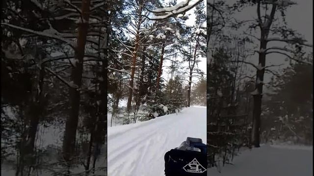 Антропово прогулка по парку на мотособаке смотреть онлайн